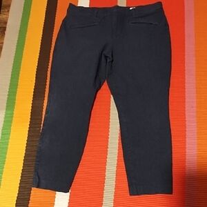 GAP Striped Dark Blue Jeans Skinny Ankle VGC Size 14.